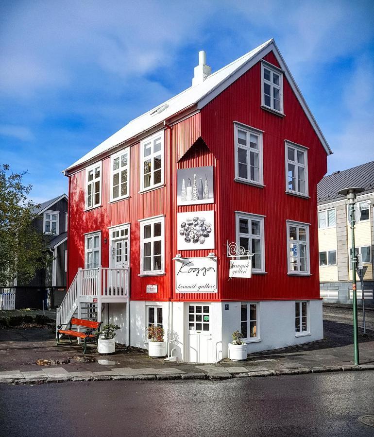 Apartmán House Of The Snowbird Reykjavík Exteriér fotografie